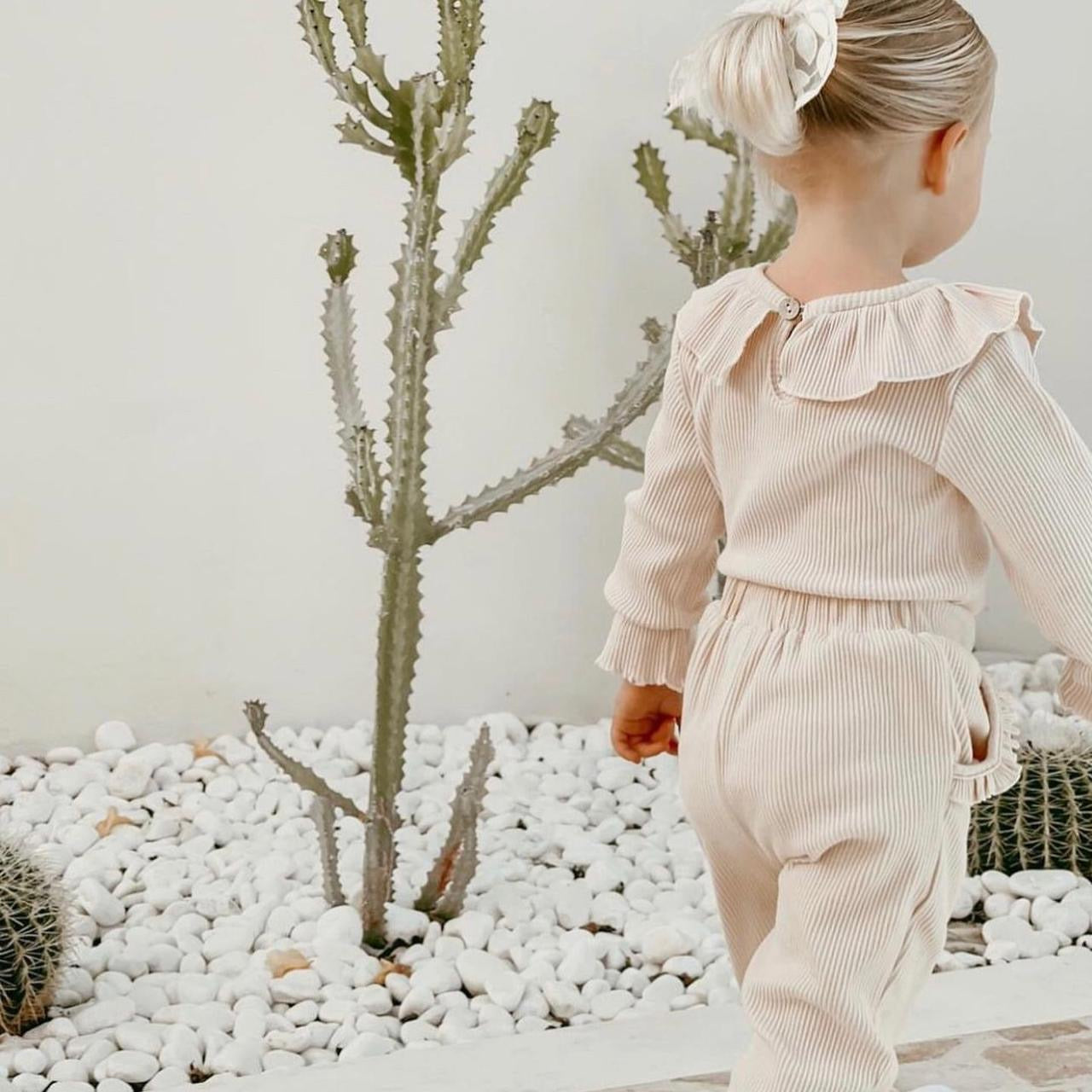 RIB ROUND COLLAR BODY